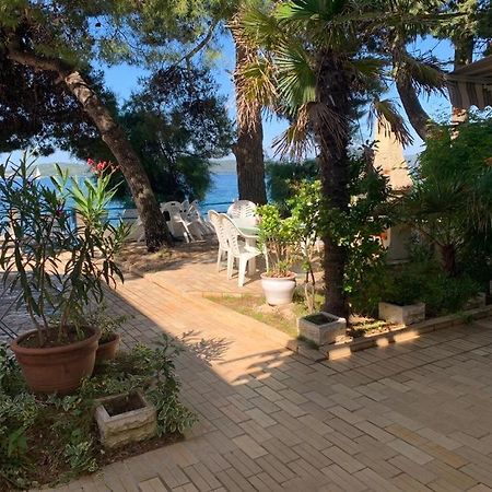 Seaside Apartment Padre Bibinje Ngoại thất bức ảnh
